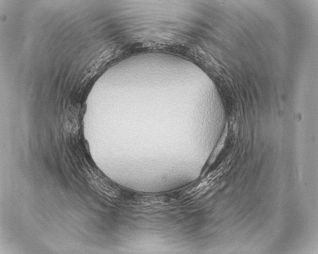 X0000087361012200705111639