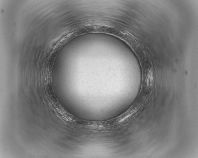 X0000087361014200705111639