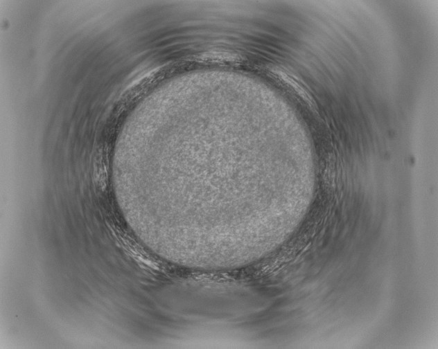 X0000087361015200705111639