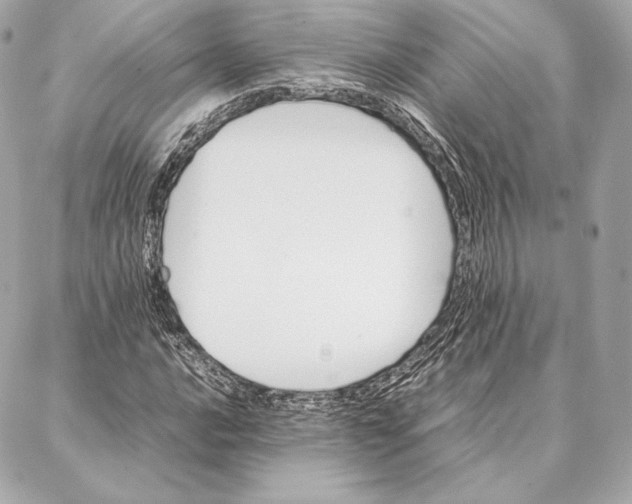 X0000087361016200705111639