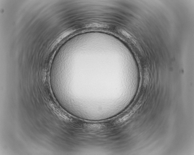 X0000087361017200705111639