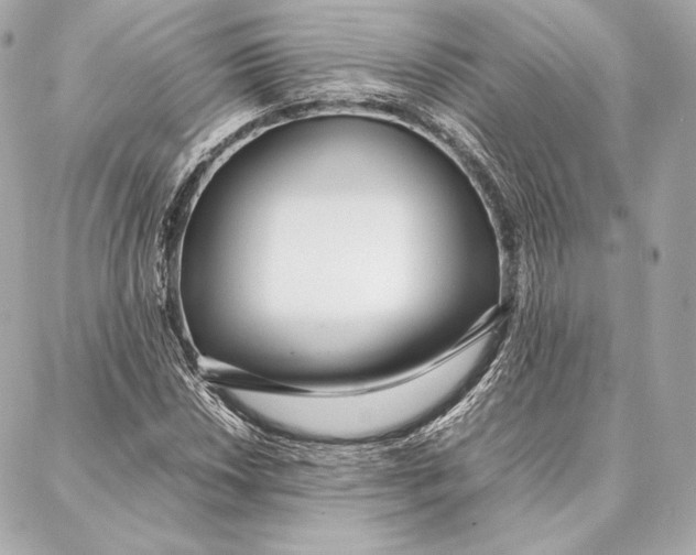 X0000087361018200705111639