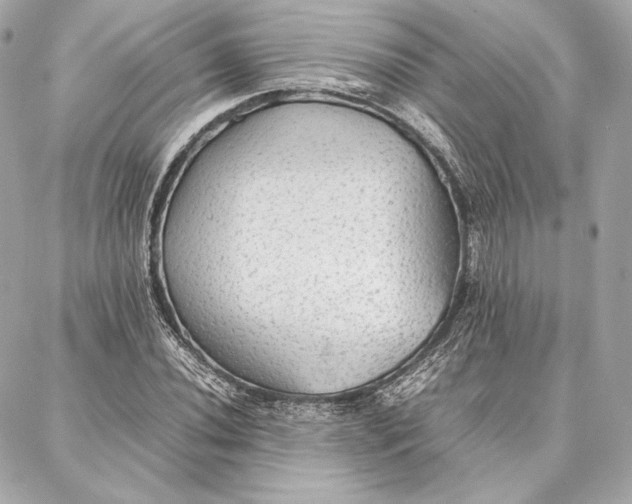 X0000087361020200705111639