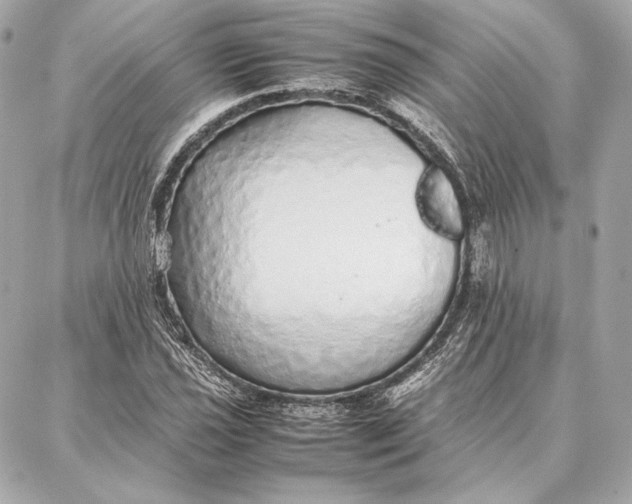 X0000087361021200705111639