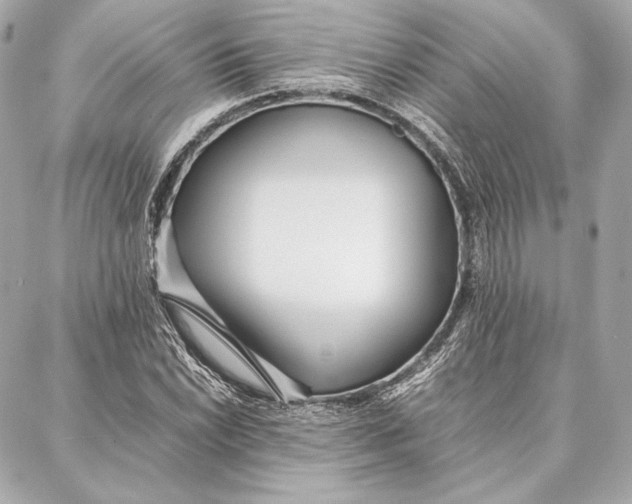 X0000087361022200705111639