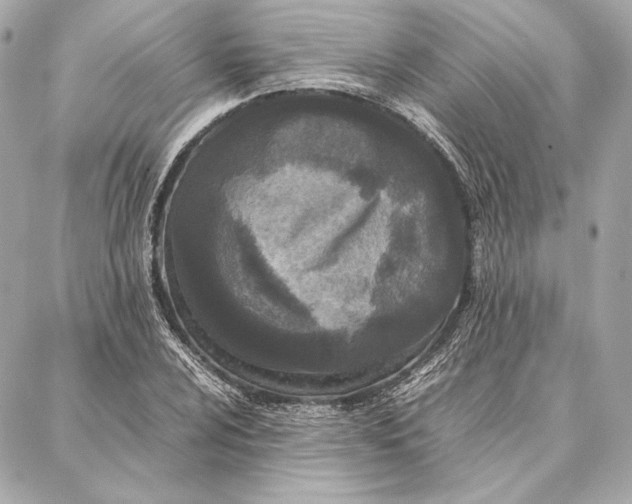 X0000087361024200705111639