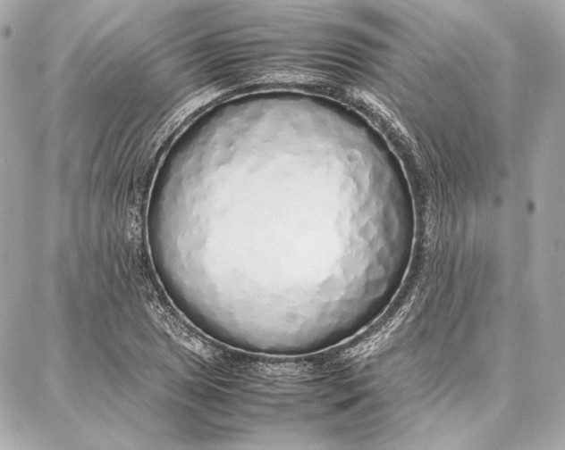 X0000087361025200705111640