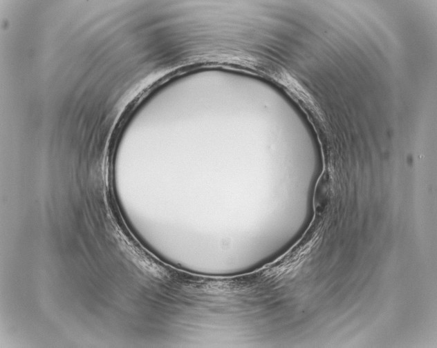 X0000087361028200705111640