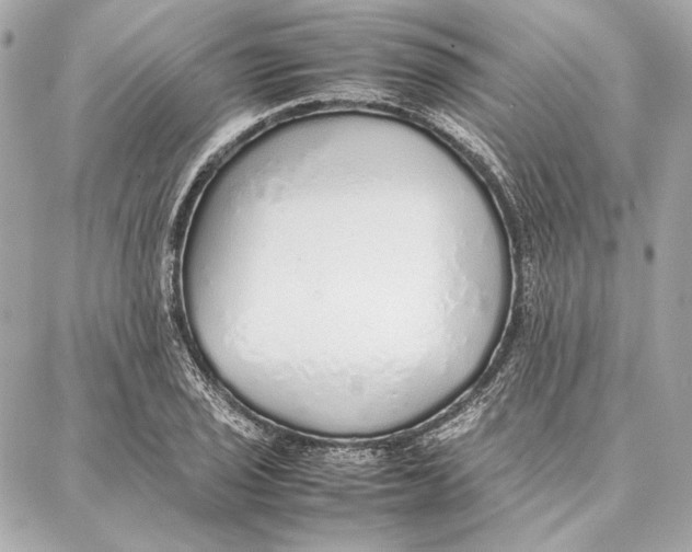 X0000087361029200705111640