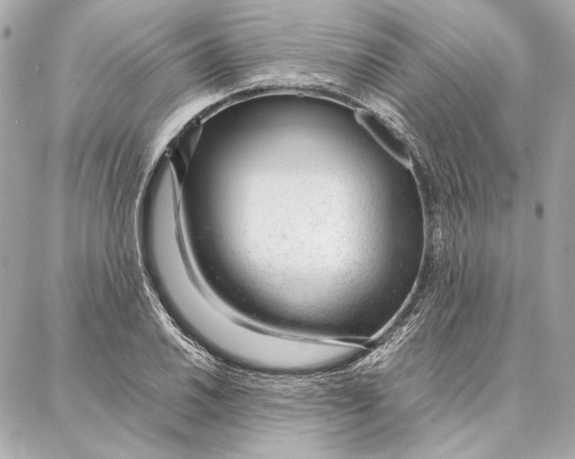 X0000087361030200705111640