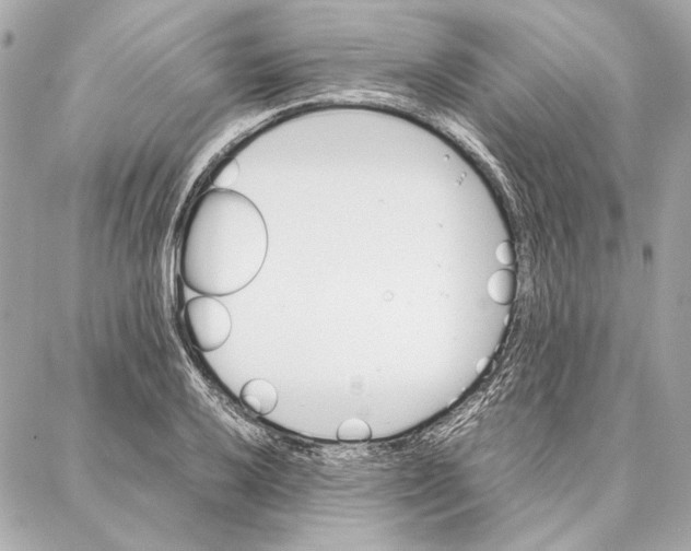 X0000087361032200705111640