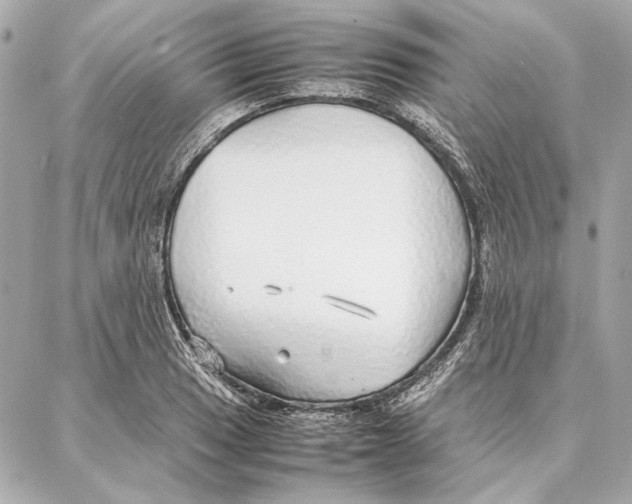 X0000087361033200705111640