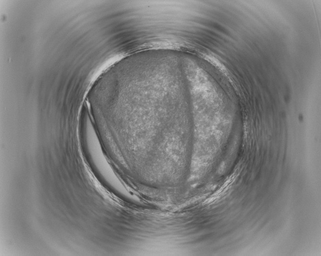 X0000087361034200705111640