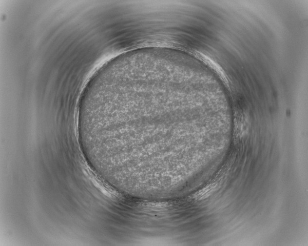 X0000087361035200705111640