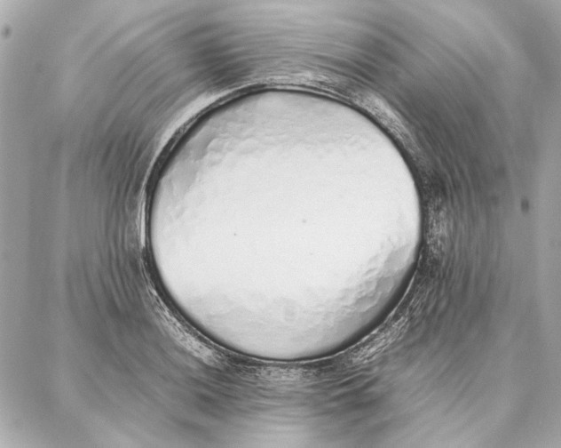 X0000087361036200705111640