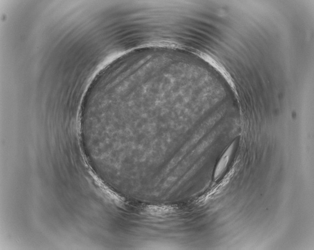 X0000087361037200705111640