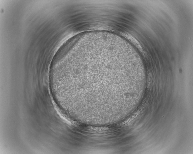 X0000087361039200705111640