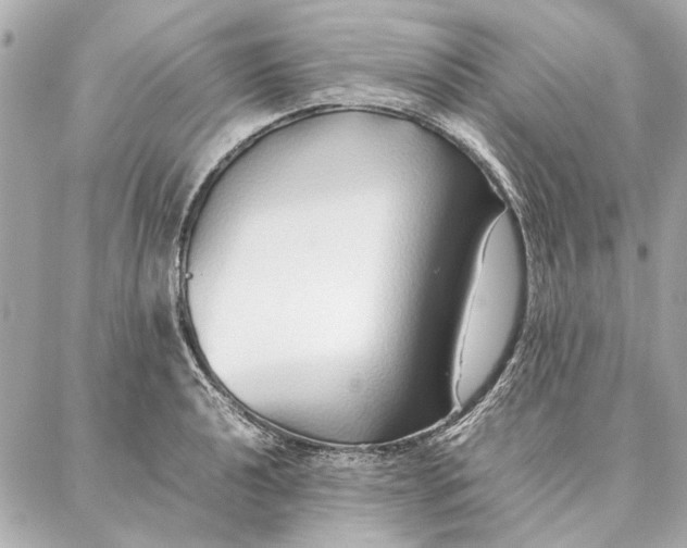 X0000087361040200705111640