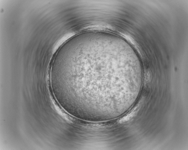 X0000087361042200705111640