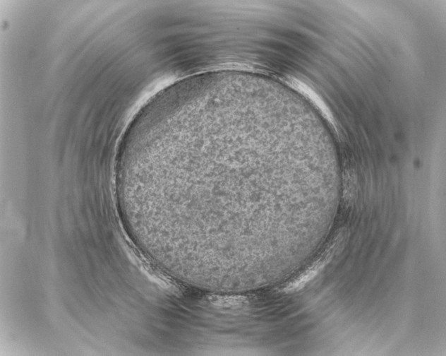 X0000087361043200705111640