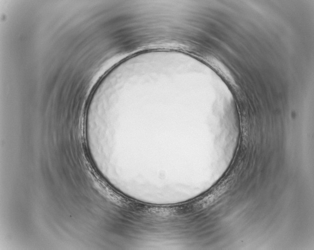 X0000087361044200705111640