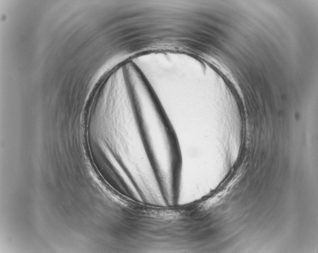 X0000087361045200705111640