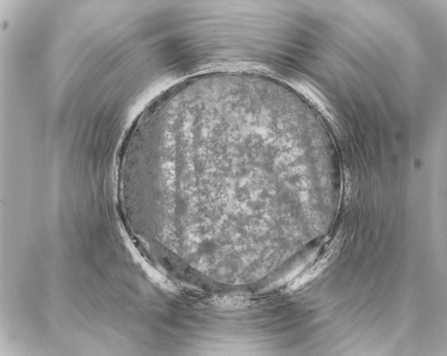 X0000087361046200705111640