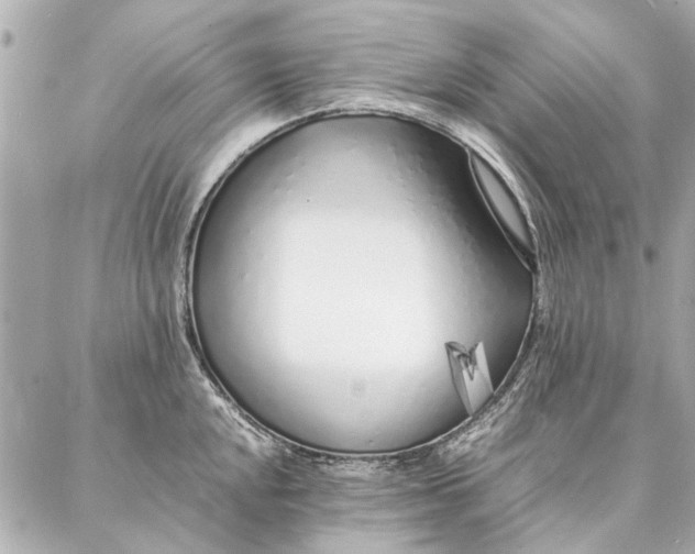 X0000087361048200705111640