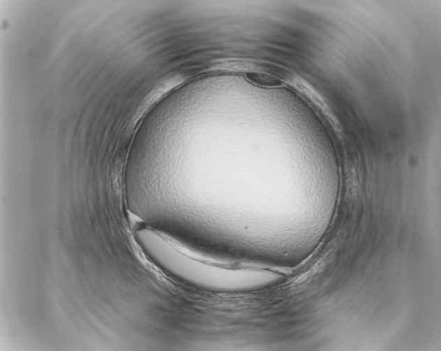 X0000087361049200705111640