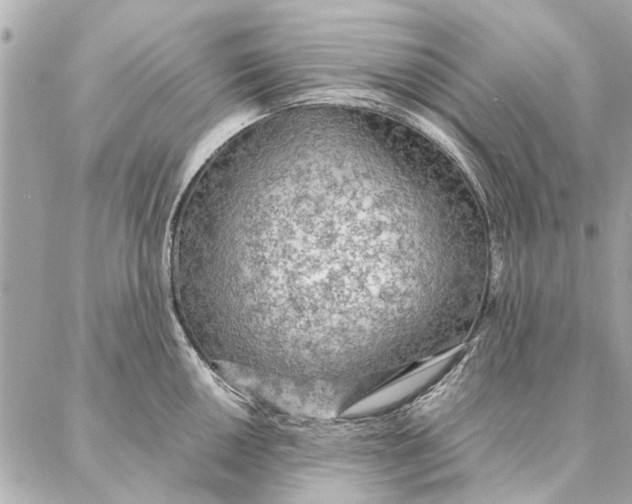 X0000087361050200705111640