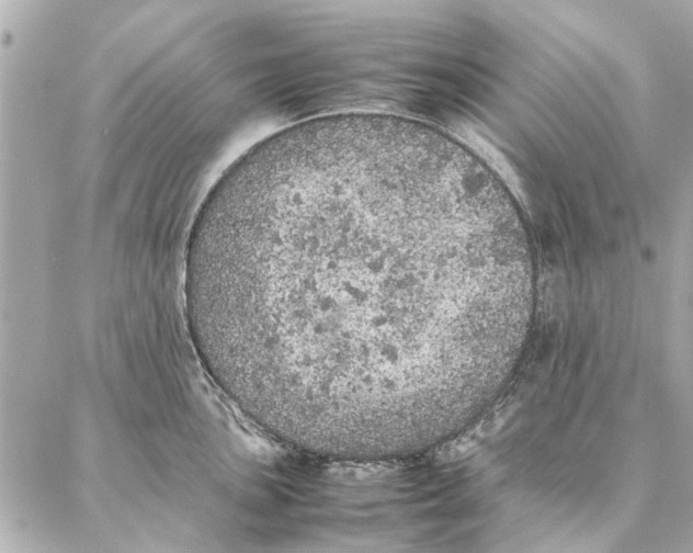 X0000087361051200705111640