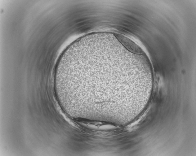 X0000087361053200705111640