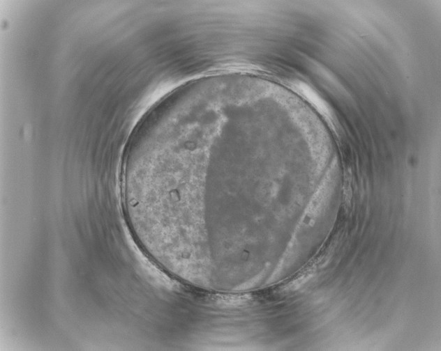 X0000087361055200705111640