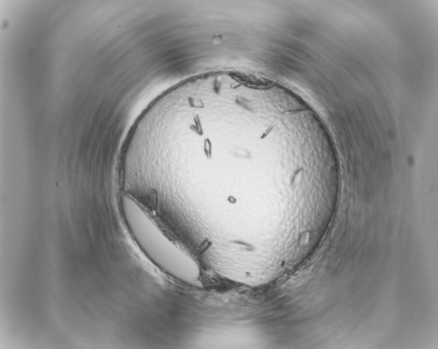 X0000087361056200705111640