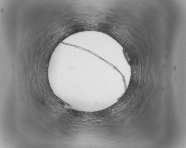 X0000087361057200705111639