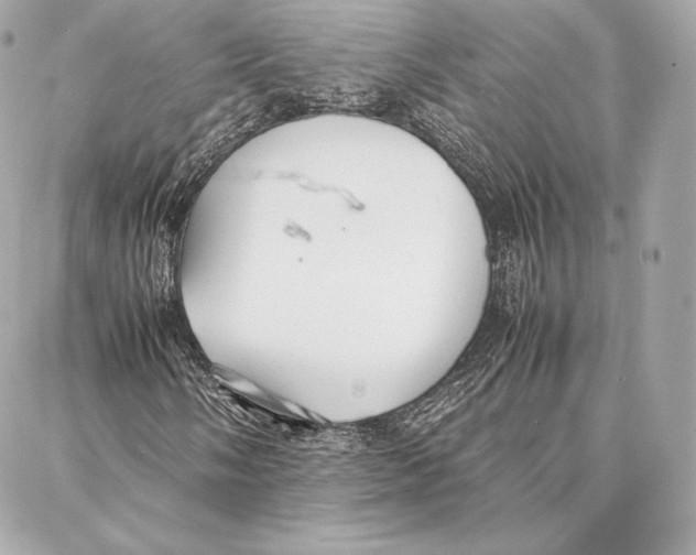 X0000087361058200705111639