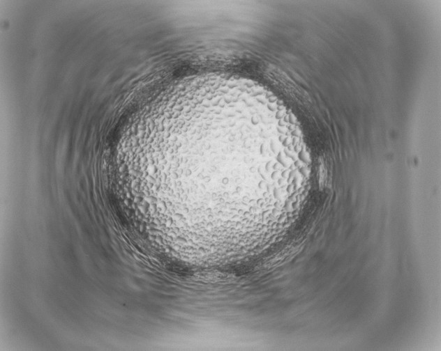 X0000087361059200705111639