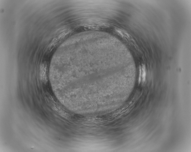 X0000087361060200705111639