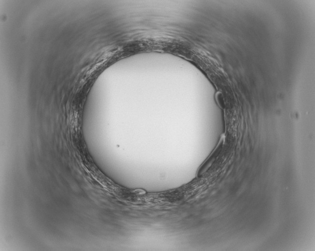 X0000087361061200705111639