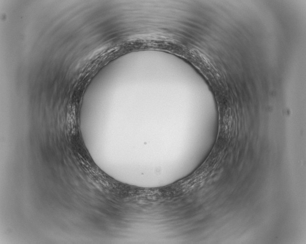 X0000087361062200705111639