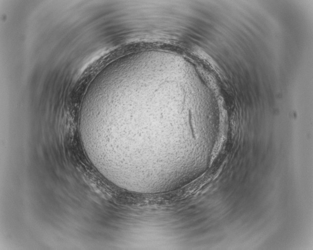 X0000087361064200705111639