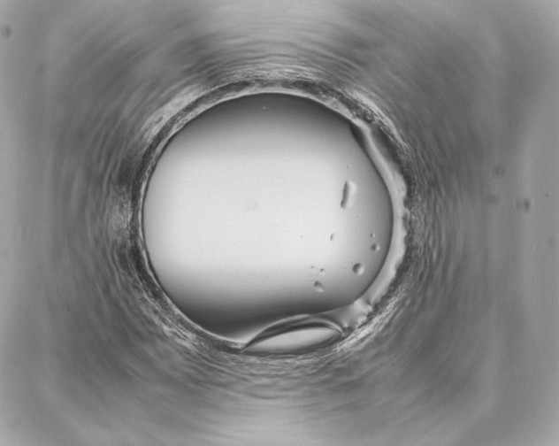 X0000087361065200705111639