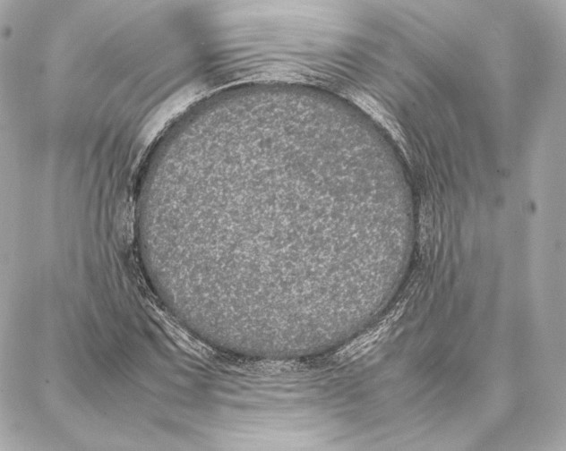 X0000087361067200705111639