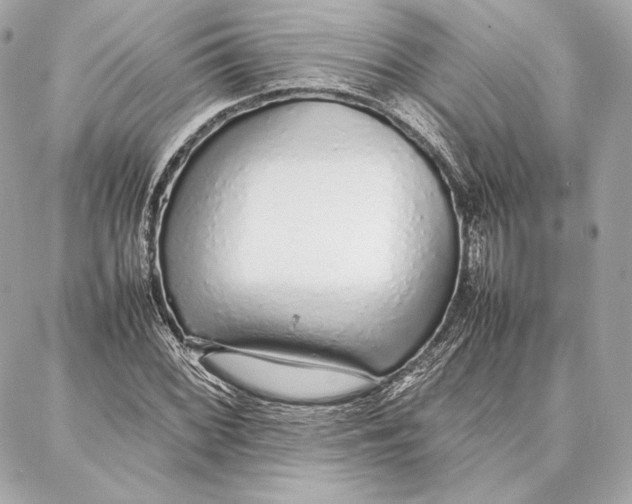 X0000087361068200705111639