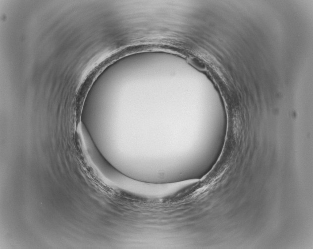 X0000087361069200705111639