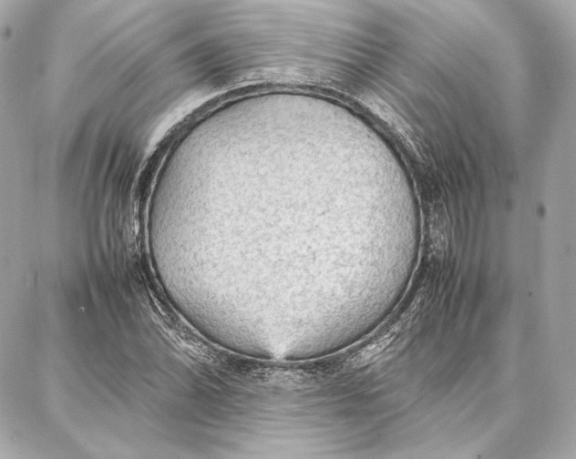 X0000087361070200705111639