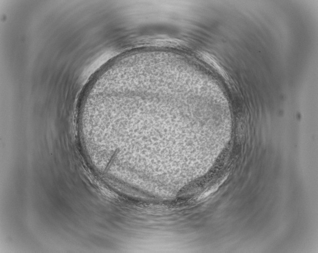 X0000087361071200705111639