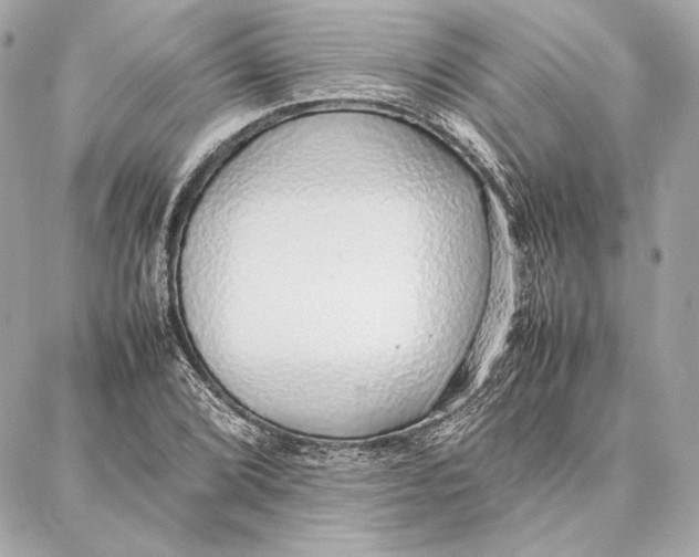 X0000087361072200705111639