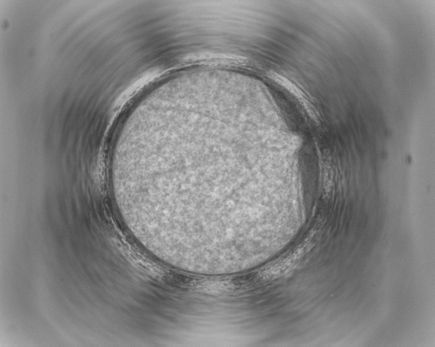 X0000087361074200705111639