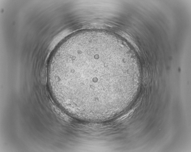 X0000087361075200705111639